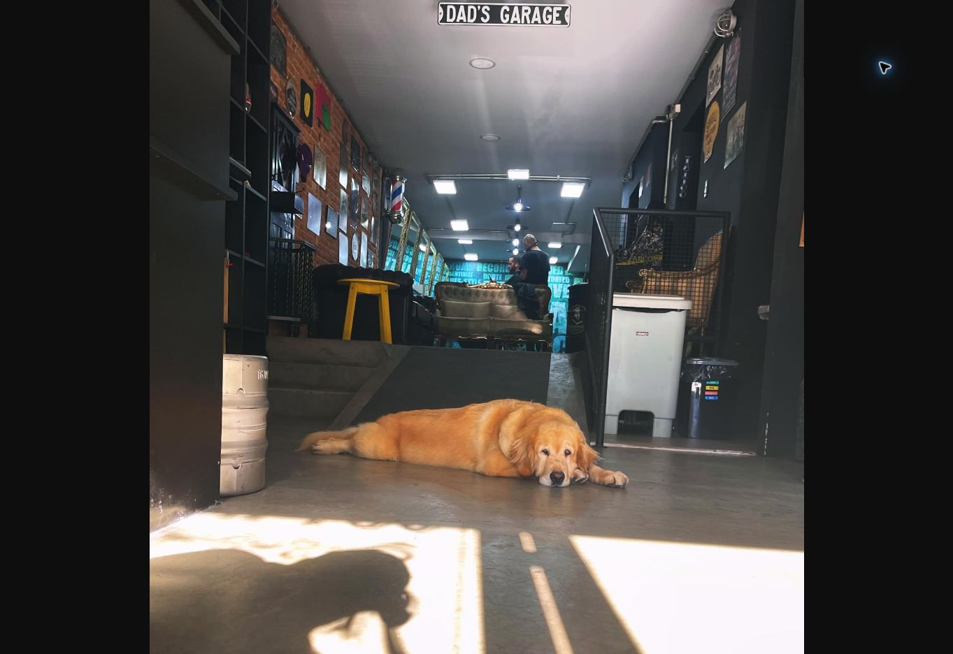 Entrada da Barbearia Comendador com o cachorro da casa